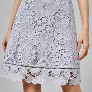 ted baker primrose lace dress